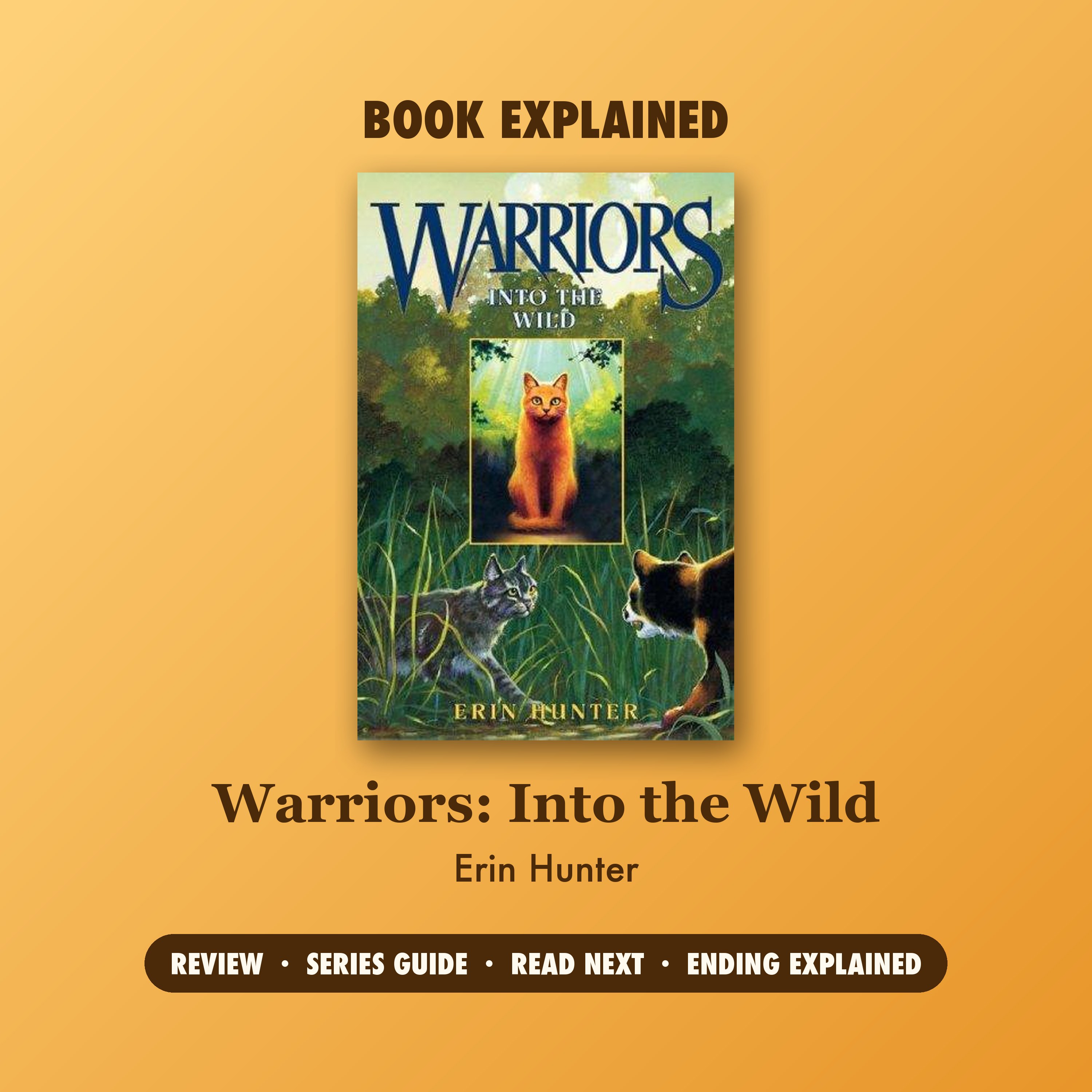 Book Explained